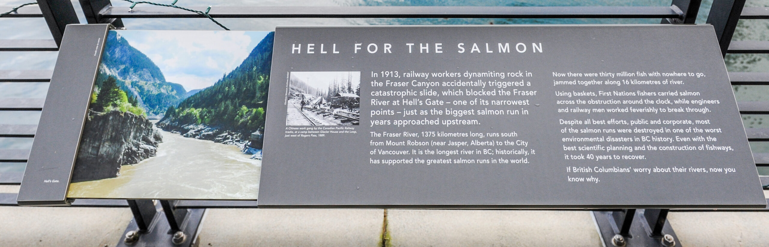 The plaque reads: In 1913, railway workers dynamiting rock in the Fraser Canyon accidentally triggered a catastrophic slide, which blocked the Fraser River at Hell’s Gate – one of its narrowest points – just as the biggest salmon run in years approached upstream. The Fraser River, 1375 kilometres long, runs south from Mount Robson (near Jasper, Alberta) to the City of Vancouver. It is the longest river in BC; historically, it has supported the greatest salmon runs in the world. Now there were thirty million fish with nowhere to go, jammed together along 16 kilometres of river. Using baskets, First Nations fishers carried salmon across the obstruction around the clock, while engineers and railway men worked feverishly to break through. Despite all best efforts, public and corporate, most of the salmon runs were destroyed in one of the worst environmental disasters in BC history. Even with the best scientific planning and the construction of fishways, it took 40 years to recover. If British Columbians worry about their rivers, now you know why.
