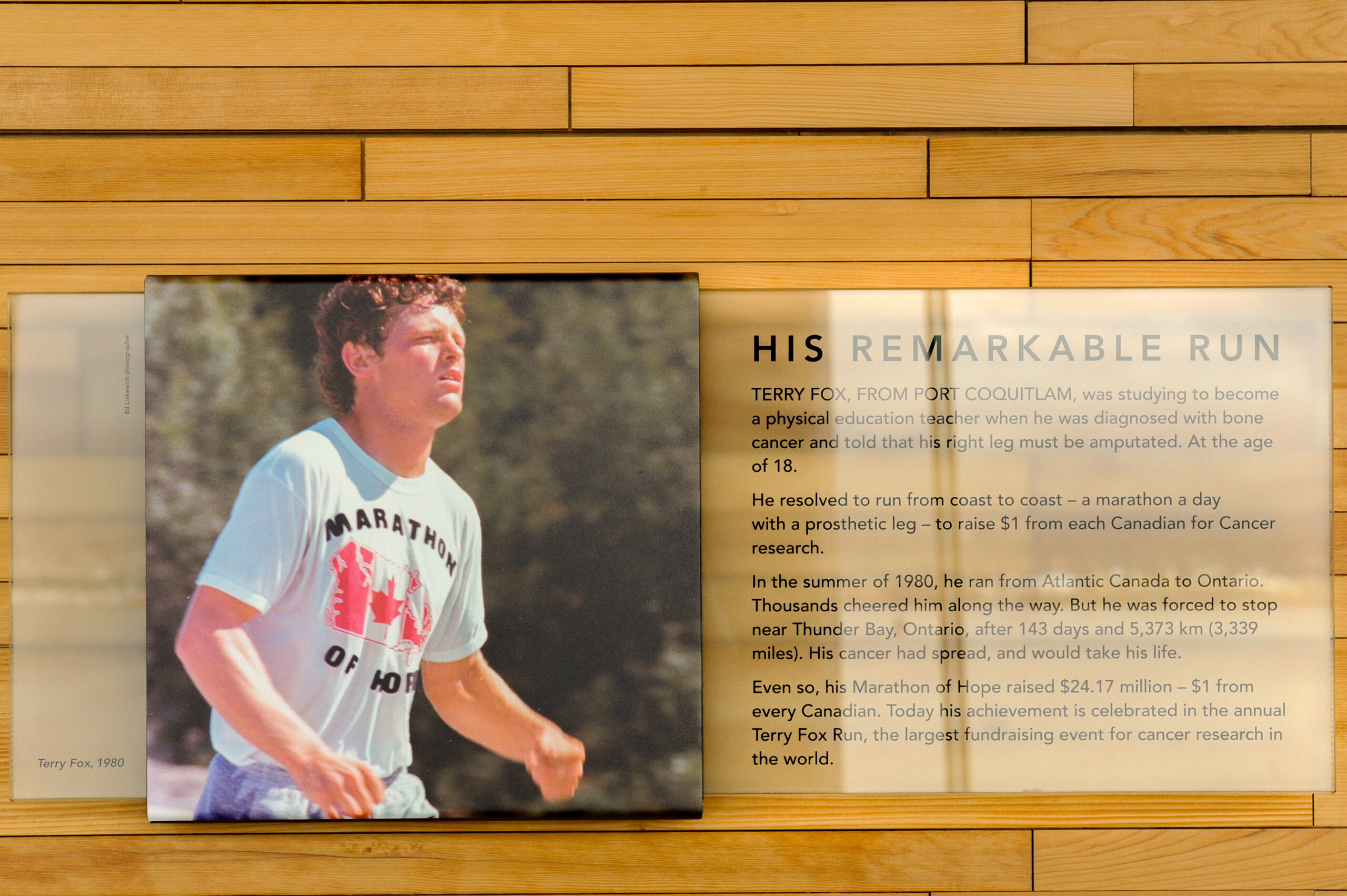 The plaque reads: Terry Fox, from Port Coquitlam, was studying to become a physical education teacher when he was diagnosed with bone cancer and told that his right leg must be amputated. At the age of 18. He resolved to run from coast to coast — a marathon a day with a prosthetic leg — to raise $1 from each Canadian for cancer research. In the summer of 1980, he ran from Atlantic Canada to Ontario. Thousands cheered him along the way, but he was forced to stop near Thunder Bay, Ontario after 143 days and 5,373 kilometres (3,339 miles.) His cancer had spread, and would take his life. Even so, his Marathon of Hope raised $24.17 million — $1 from every Canadian. Today his achievement is celebrated in the annual Terry Fox Run, the largest fundraising event for cancer research in the world.