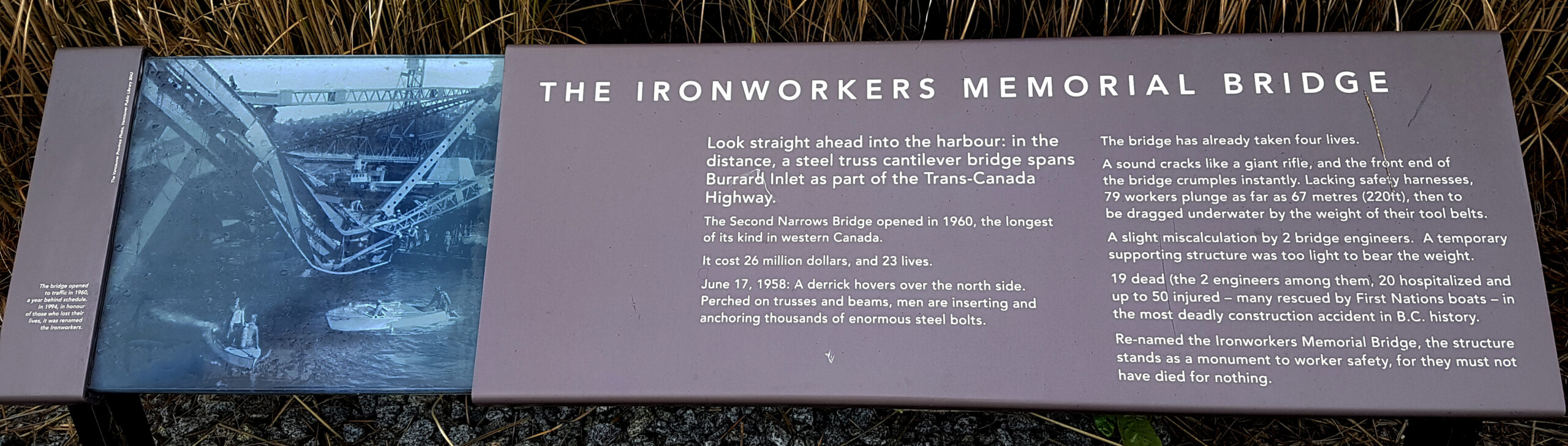 The plaque reads: Look straight ahead into the harbour: in the distance, a steel truss cantilever bridge spans Burrard Inlet as part of the Trans-Canada Highway. The Second Narrows Bridge opened in 1960, the longest of its kind in western Canada. It cost 26 million dollars, and 23 lives. June 17, 1958. A derrick hovers over the north side. Perched on trusses and beams, men are inserting and anchoring thousands of enormous steel bolts. The bridge has already taken four lives. A sound cracks like a giant rifle; and the front end of the bridge crumples instantly. Lacking safety harnesses, 79 workers plunge as far as 67 metres (220ft), then to be dragged underwater by the weight of their tool belts. A slight miscalculation by two bridge engineers. A temporary supporting structure was too light to bear the weight. Nineteen dead (the two engineers among them), 20 hospitalized and up to 50 injured – many rescued by First Nations boats – in the most deadly construction accident in B.C. history. Re-named the Ironworkers Memorial Bridge, the structure stands as a monument to worker safety, for they must not have died for nothing.