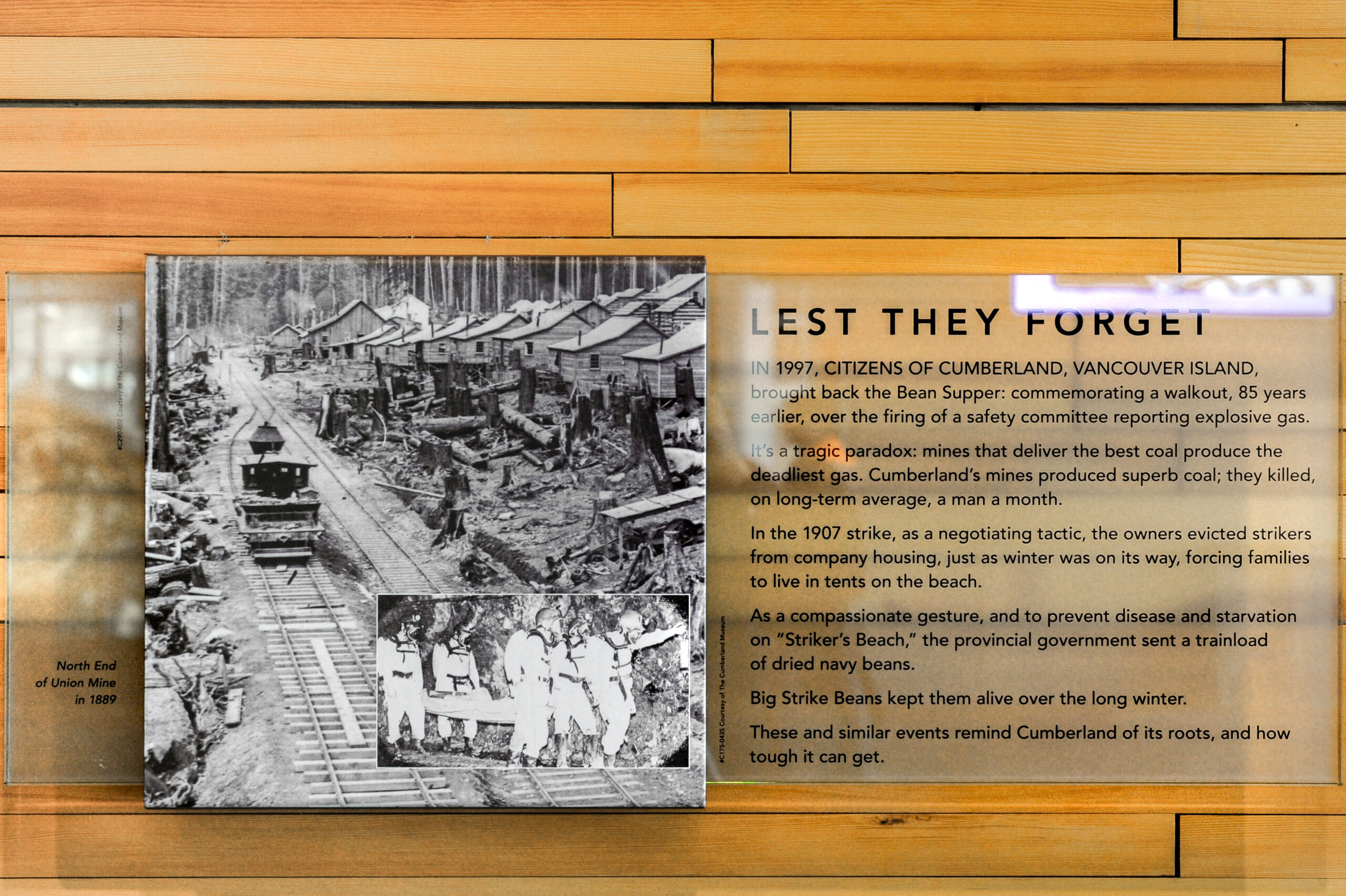 The plaque reads: In 1997, citizens of Cumberland, Vancouver Island, brought back the Bean Supper: commemorating a walkout, 85 years earlier, over the firing of a safety committee reporting explosive gas. It's a tragic paradox: mines that deliver the best coal produce the deadliest gas. Cumberland's mines produced superb coal; they killed, on long-term average, a man a month. In the 1907 strike, as a negotiating tactic, the owners evicted strikers from company housing, just as winter was on its way, forcing families to live in tents on the beach. As a compassionate gesture, and to prevent disease and starvation on “Strikers' beach,” the provincial government sent a trainload of dried navy beans. Big Strike Beans kept them alive over the long winter. These and similar events remind Cumberland of its roots, and how tough it can get.