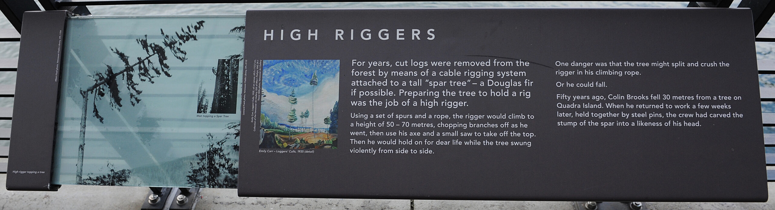 The plaque reads: For years, cut logs were removed from the forest by means of a cable rigging system attached to a tall “spar tree” – a Douglas fir if possible. Preparing the tree to hold a rig was the job of a high rigger. Using a set of spurs and a rope, the rigger would climb to a height of 50 – 70 metres, chopping branches off as he went, then use his axe and a small saw to take off the top. Then he would hold on for dear life while the tree swung violently from side to side. One danger was that the tree might split and crush the rigger in his climbing rope. Or he could fall. Fifty years ago, Colin Brooks fell 30 metres from a tree on Quadra Island. When he returned to work a few weeks later, held together by steel pins, the crew had carved the stump of the spar into a likeness of his head.