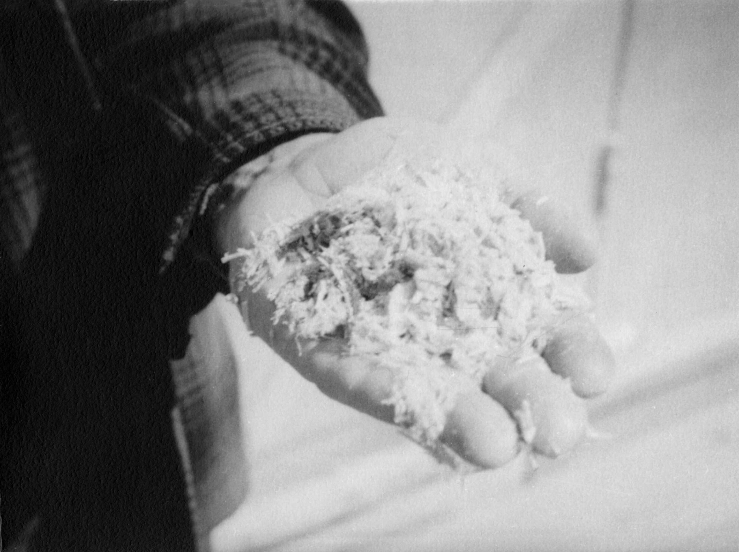 Black and white photo of a hand full with Asbestos
